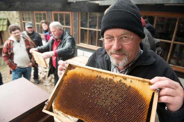 Auch die Bienen Auch die BienenAuch die Bienen im Lehrbienenstand im Osnabrücker Zoo leiden unter der anhaltenden Kälte, weiß Ansgar Erpenbeck, stellvertretender Vorsitzender des Imkervereins Osnabrück und Umgebung.